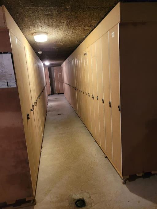 Le Duplex, Superbe Cocon Au Coeur Des Rousses, Tout Confort 5 Pers, Draps Inclus Les Rousses Εξωτερικό φωτογραφία