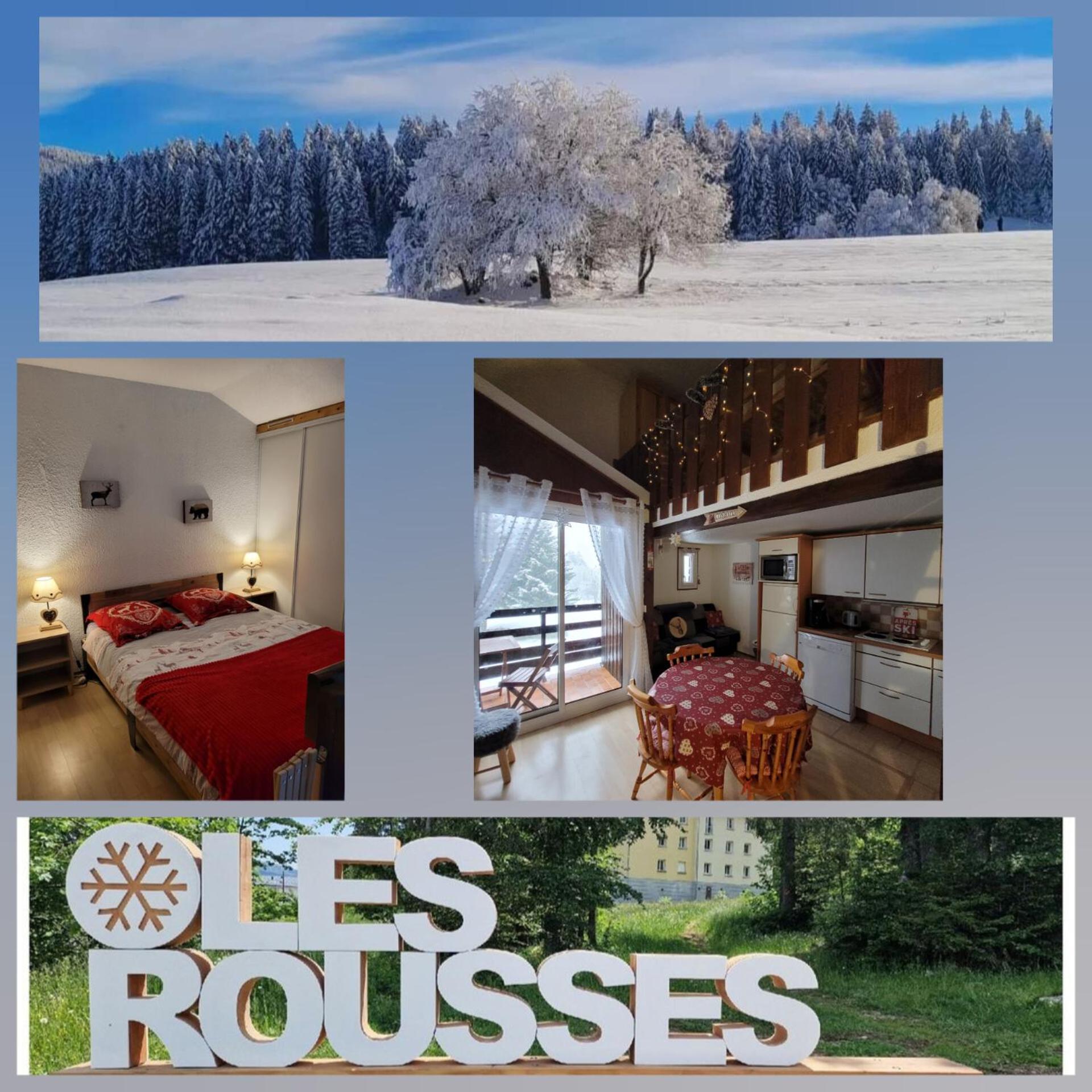 Le Duplex, Superbe Cocon Au Coeur Des Rousses, Tout Confort 5 Pers, Draps Inclus Les Rousses Εξωτερικό φωτογραφία